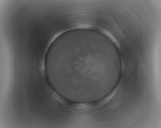 X0000113630883200909251218
