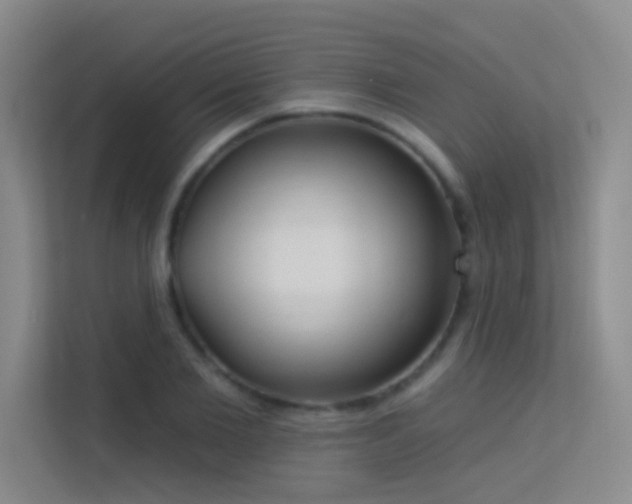 X0000113630885200909251218