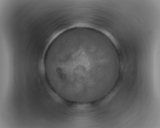 X0000113630887200909251218