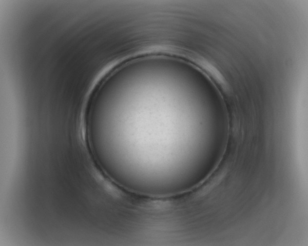X0000113630888200909251218