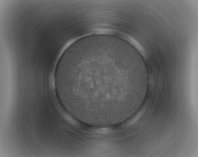 X0000113630891200909251218