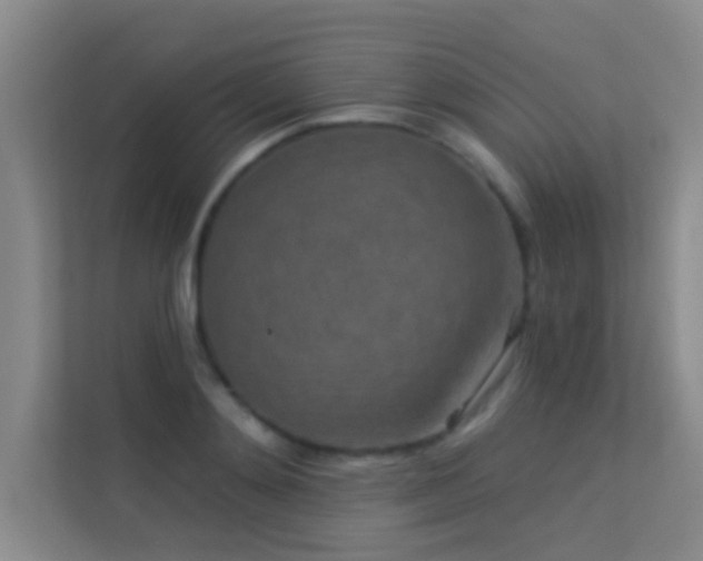 X0000113630892200909251218