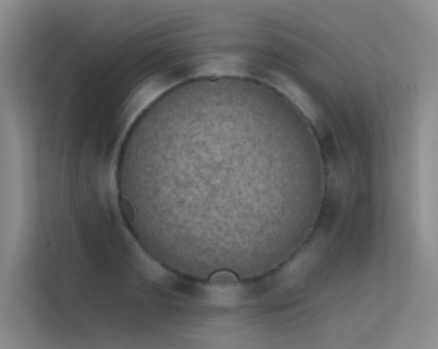 X0000113630893200909251218