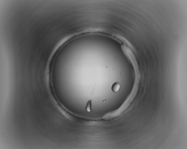 X0000113630894200909251218