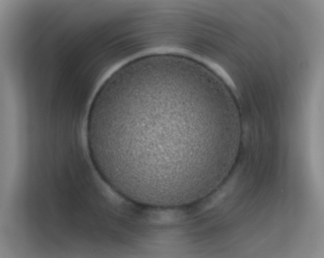 X0000113630895200909251218