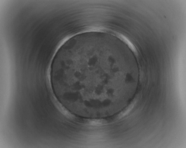 X0000113630899200909251218