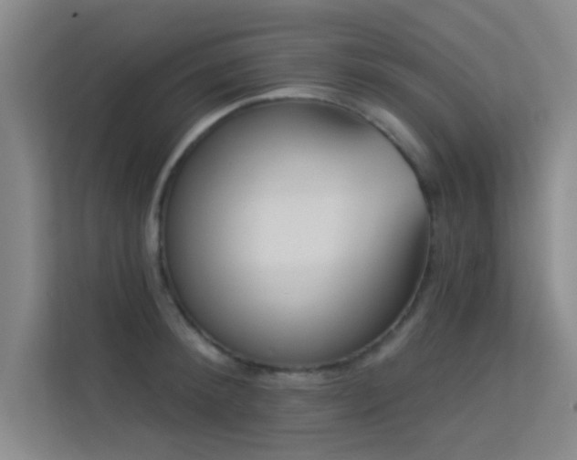 X0000113630900200909251218