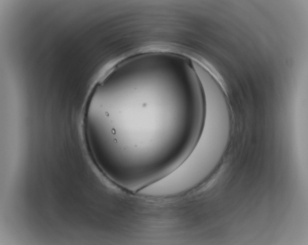 X0000113630901200909251218