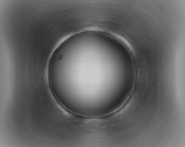 X0000113630902200909251218