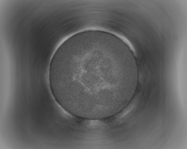 X0000113630903200909251218