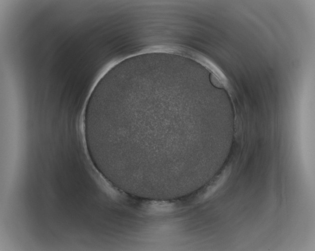 X0000113630907200909251218