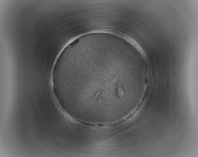 X0000113630908200909251218