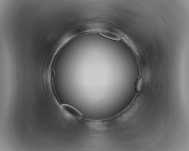 X0000113630909200909251218