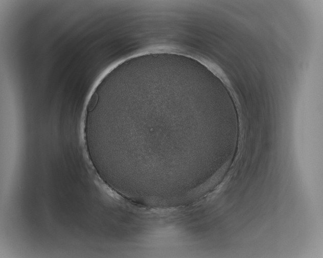 X0000113630912200909251218