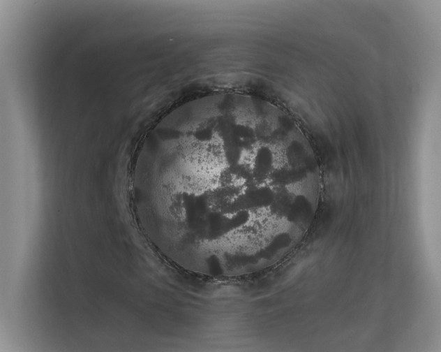 X0000113630913200909251217