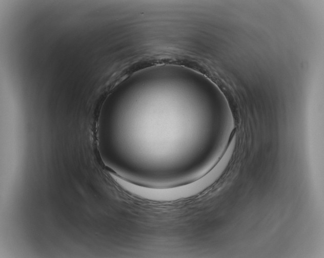 X0000113630916200909251217