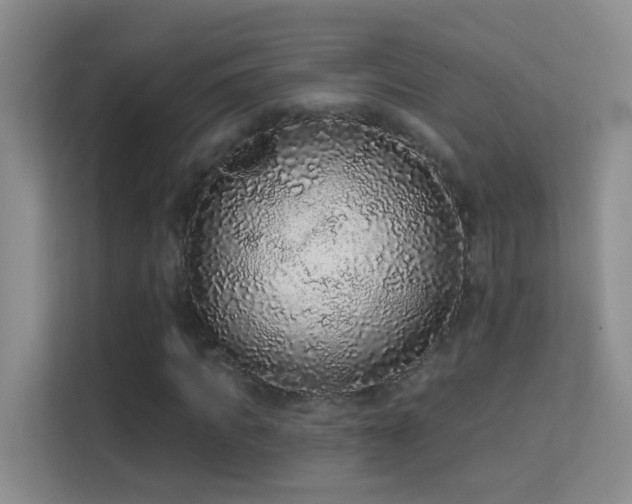 X0000113630917200909251217