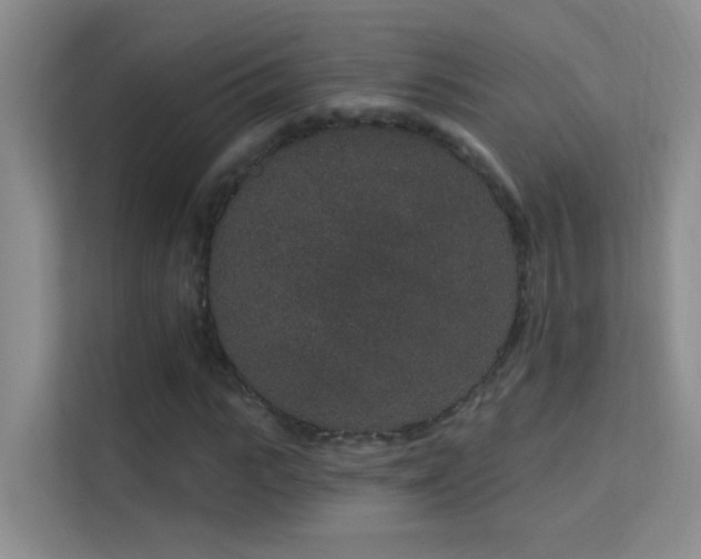 X0000113630919200909251217