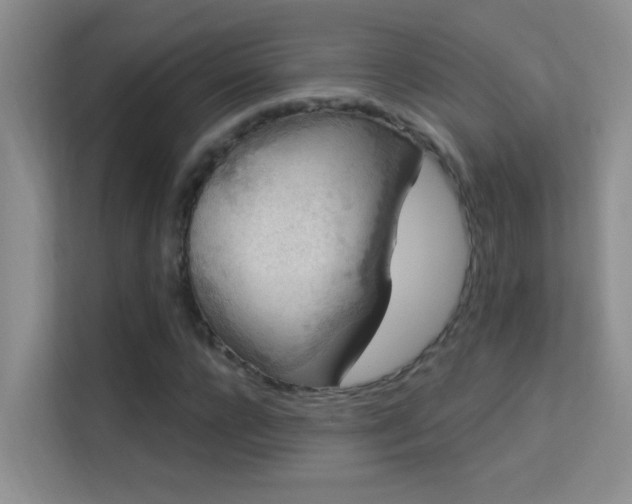 X0000113630920200909251217