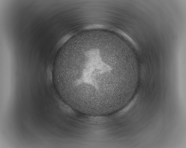 X0000113630921200909251217