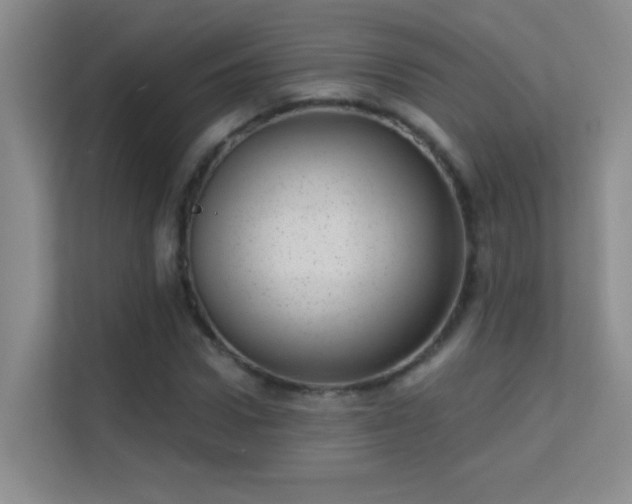 X0000113630922200909251217