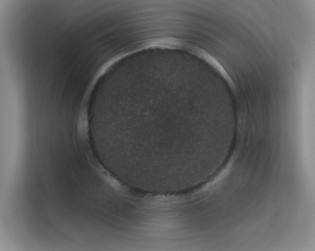 X0000113630923200909251217