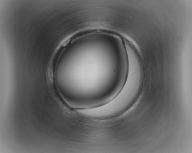 X0000113630925200909251217