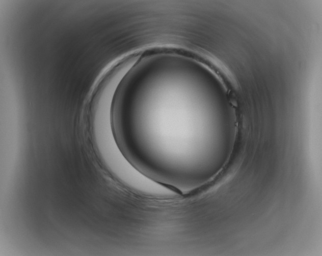 X0000113630926200909251217
