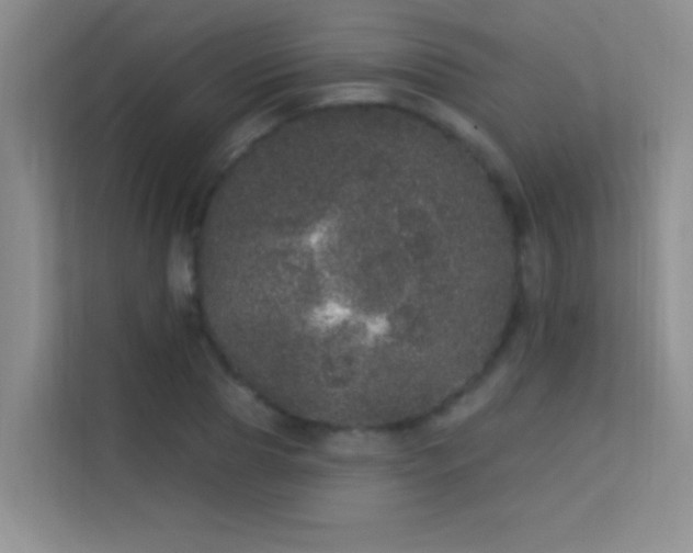 X0000113630929200909251217