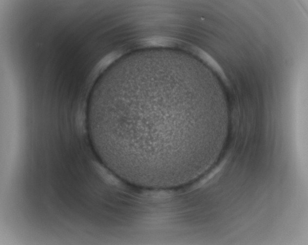X0000113630930200909251217