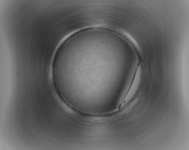 X0000113630932200909251218
