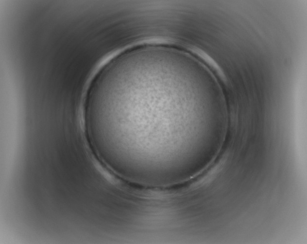 X0000113630935200909251218