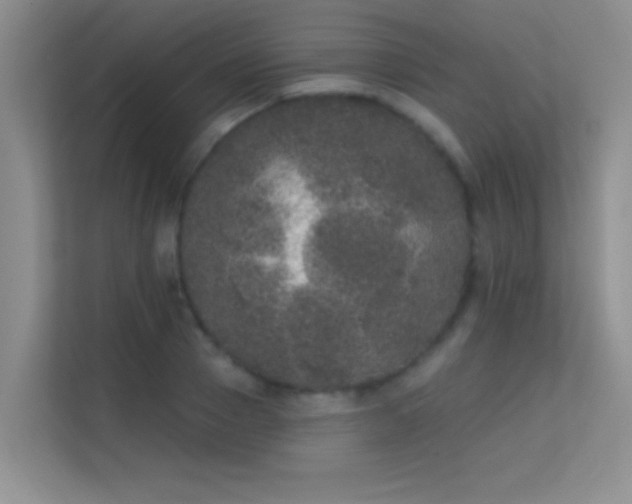 X0000113630937200909251218