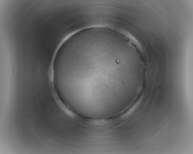 X0000113630940200909251218