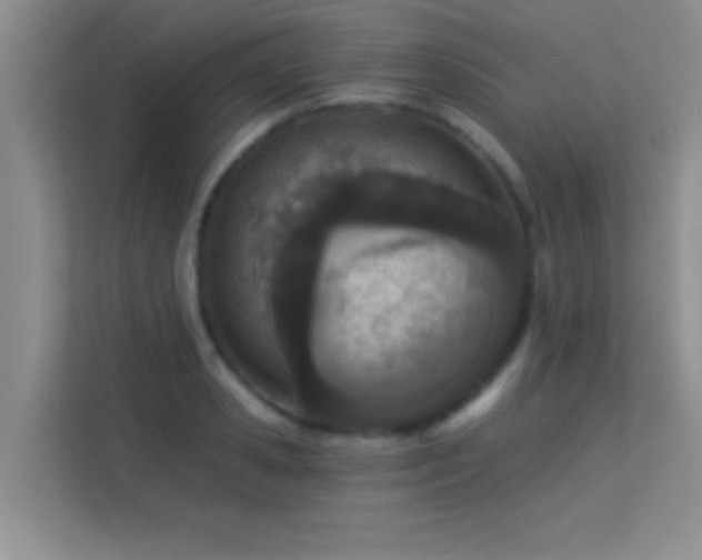 X0000113630941200909251218