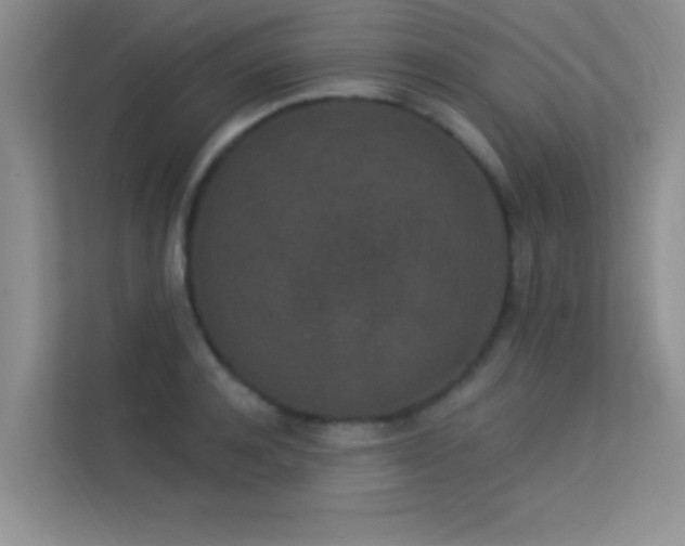X0000113630944200909251218