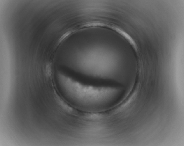 X0000113630945200909251218