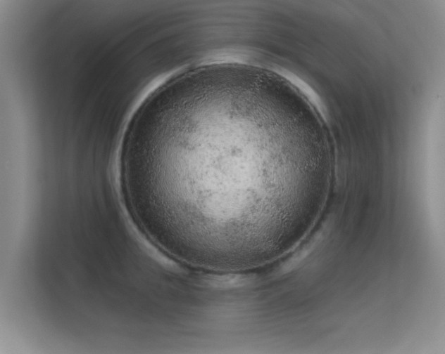 X0000113630949200909251218