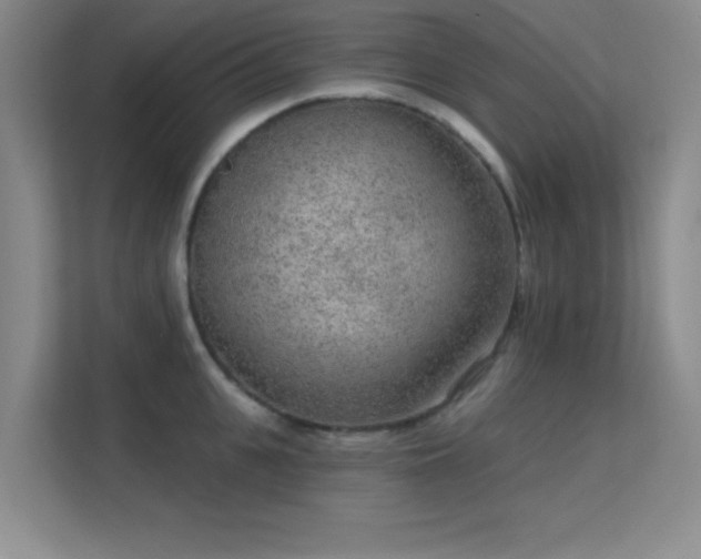X0000113630951200909251218