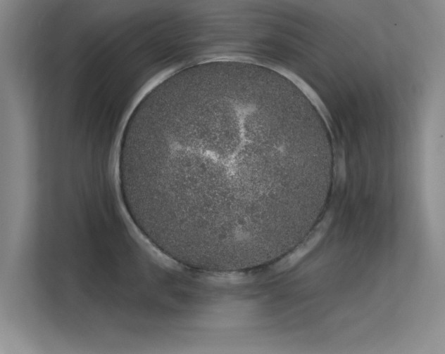 X0000113630957200909251218