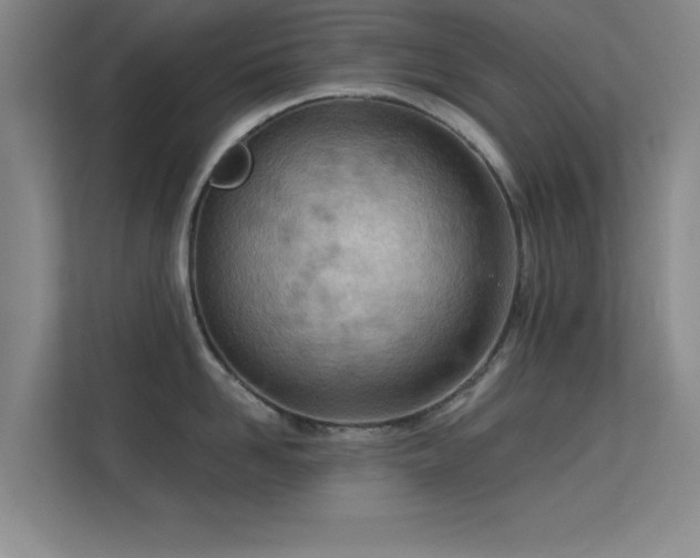 X0000113630958200909251218