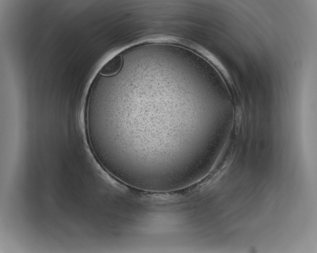 X0000113630959200909251218