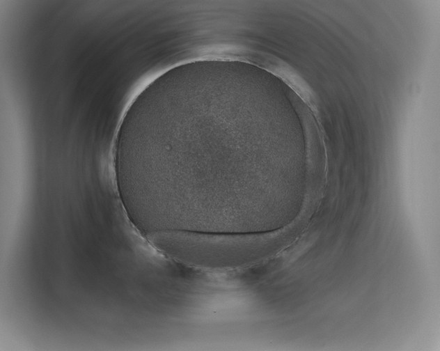X0000113630960200909251218