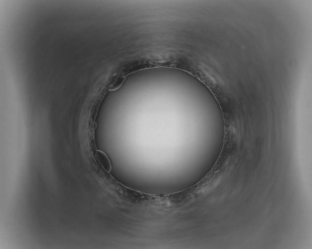 X0000113630961200909251217