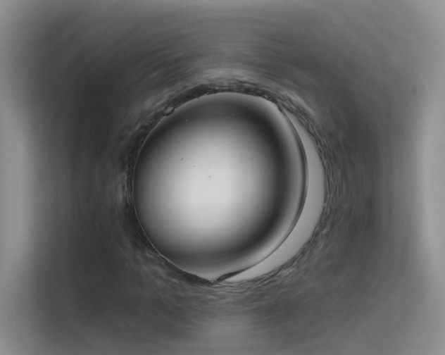 X0000113630965200909251217