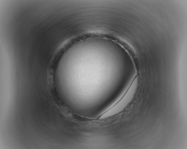 X0000113630968200909251217