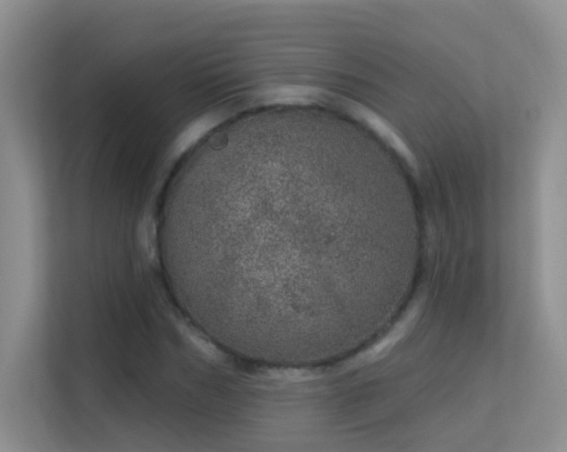 X0000113630970200909251217