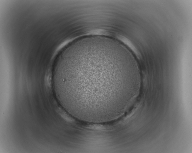 X0000113630971200909251217