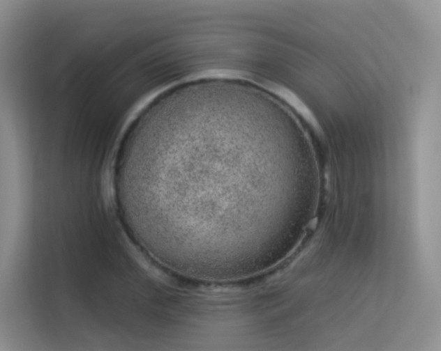 X0000113630972200909251217