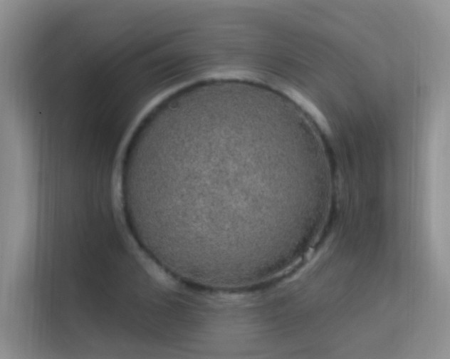 X0000113630976200909251217
